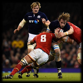Richie & Jonny Gray Scotland Rugby